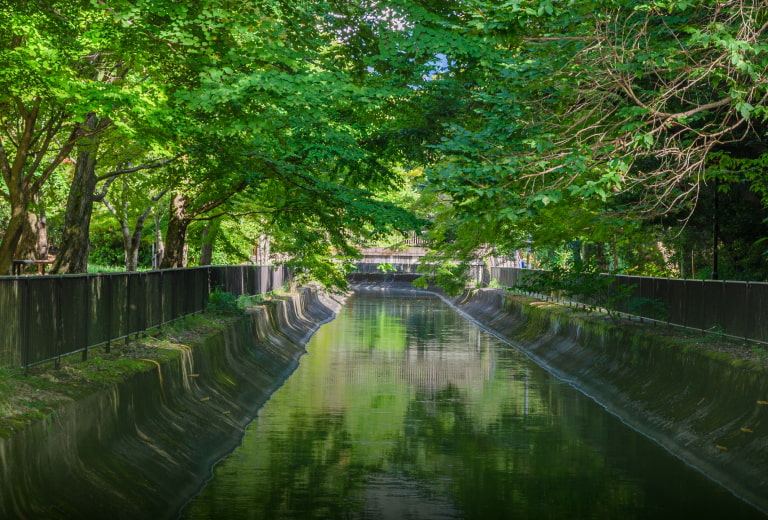 メインビジュアル