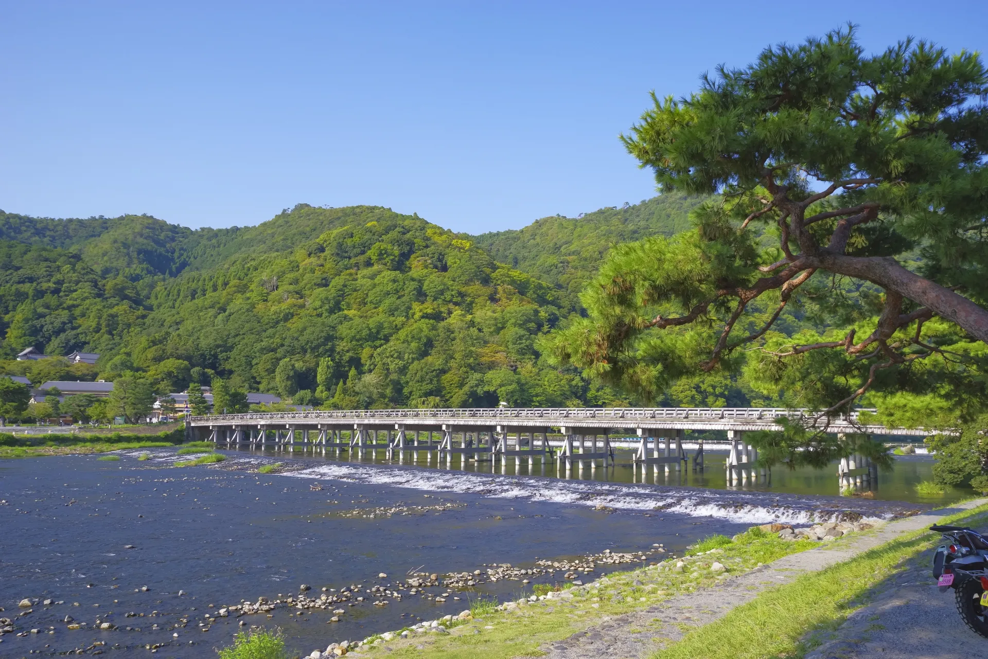 嵐山東周辺の寺社などを巡る!まちあるきツアー
